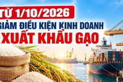 Từ 1/10, giảm điều kiện kinh doanh xuất khẩu gạo