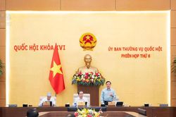 Dự án Bộ luật Hình sự (sửa đổi): Chỉ hình sự hóa những hành vi có tính nguy hiểm đáng kể cho xã hội