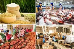 Chung tay nâng cao giá trị nông, lâm, thủy sản
