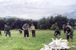 Huế tháo dỡ hàng nghìn dụng cụ bẫy chim, cò
