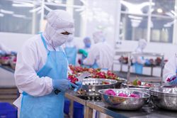 FDI chiếm 80% xuất khẩu, doanh nghiệp Việt vẫn loay hoay ở khâu giá trị thấp