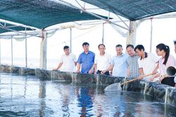 Vai trò cấp ủy trong tăng trưởng 2 con số