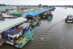Khắc phục thẻ vàng IUU: An Giang siết chặt quản lý tàu cá