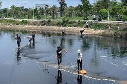 Khuyến cáo không sử dụng cá chết hàng loạt tại hồ điều hòa Hồ Sơn