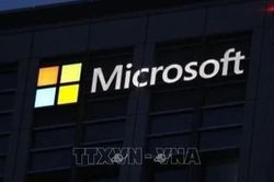 Microsoft tích hợp sâu hơn Word, Excel vào trợ lý AI Copilot