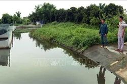 Những tấm gương đổi mới tư duy nông nghiệp tại Ninh Bình