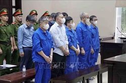 Cựu Bộ trưởng Nguyễn Thị Kim Tiến và một số bị cáo được đề nghị giảm án