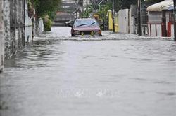 Mở các kênh khẩn cấp hỗ trợ du khách trong vùng lụt Bangkok