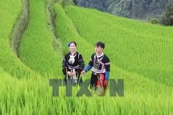 Lào Cai biến sắc màu văn hóa thành nguồn lực du lịch