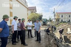 Kiên quyết xử lý theo quy định đối với nhà thầu không bảo đảm năng lực thực hiện dự án