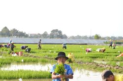 'Dân vận khéo' khu vực hợp tác xã