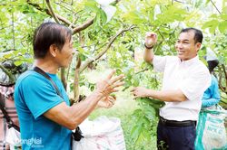 Người nông dân thời đại mới phải bước lên trong chuỗi giá trị