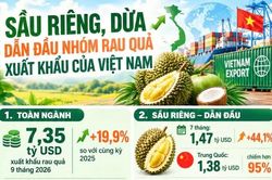 Infographic Sầu riêng, dừa dẫn đầu nhóm rau quả xuất khẩu của Việt Nam