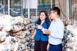 Nông dân 9x làm giàu từ nấm
