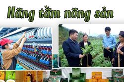 Nâng tầm nông sản