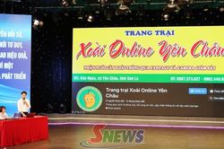 Nhiều giải pháp thiết thực mang đến Cuộc thi về chuyển đổi số tỉnh Sơn La năm 2026