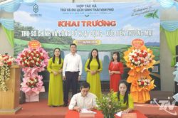 Tăng cường liên kết, phát triển vùng chè bền vững