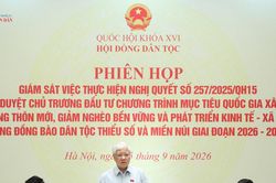 Chỉ rõ 'địa chỉ chịu trách nhiệm' đối với công việc chậm tiến độ