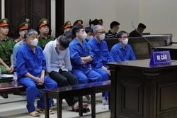 Cựu Bộ trưởng Nguyễn Thị Kim Tiến được đề nghị giảm án từ 6 đến 12 tháng tù