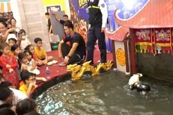 Nghệ thuật rối nước thu nhỏ trong không gian phố thị