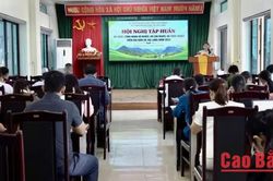 Hạ Lang tập huấn rà soát hộ nghèo, hộ cận nghèo và hộ thoát nghèo