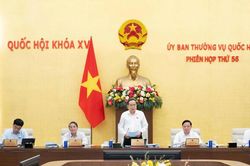 Tiếp tục rà soát việc mở rộng trách nhiệm hình sự của pháp nhân thương mại