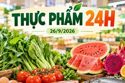 Thực phẩm 24h ngày 26/9: Trứng gà từ 27.900 đồng/hộp, cá hồi giảm mạnh