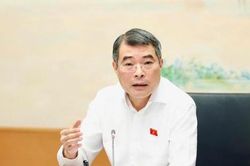 Muốn hộ kinh doanh lên doanh nghiệp, chính sách thuế phải dễ thực hiện