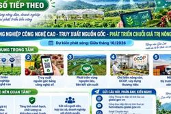 Gia Lai nâng giá trị nông sản bằng công nghệ cao, truy xuất nguồn gốc và liên kết chuỗi