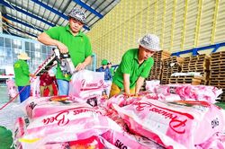 Ban hành Nghị định về kinh doanh xuất, nhập khẩu gạo