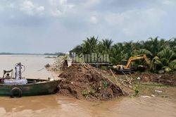 Khẩn trương khắc phục sạt lở đê bao tại Vĩnh Long