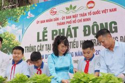 Không còn tập sự, giáo viên trẻ thêm cơ hội phát triển nghề nghiệp