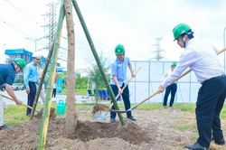 [VIDEO] Lan tỏa sắc xanh tại NMNĐ Thái Bình 2