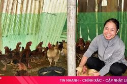 Chăm lo an sinh, tiếp sức người dân phường Nam Hồng Lĩnh