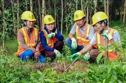 Mở hướng mới phát triển lâm nghiệp gắn sinh kế của người dân