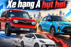Từ hơn 45.000 xe xuống 6.000 xe, chuyện gì xảy ra với xe xăng hạng A?