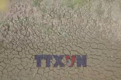 Thái Lan tăng dự trữ gạo ứng phó El Nino