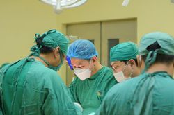 Trèo cây hái quả, người phụ nữ nguy kịch