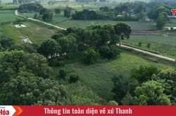 Về miền ký ức cách mạng