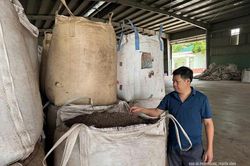 Linh Sơn trồng rừng gắn với chế biến