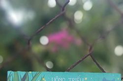 Hành trình trở về cánh đồng