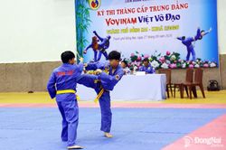 195 võ sinh thi thăng cấp Trung đẳng Vovinam Việt võ đạo thành phố Đồng Nai khóa 2 năm 2026