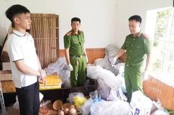 Bắt giữ đối tượng “gom” gần 1 tấn thuốc pháo và các nguyên vật liệu để sản xuất pháo bán ra thị trường