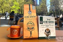 Cà phê Khe Sanh tỏa hương thương mến