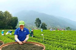 Kinh tế tập thể hỗ trợ kinh tế tư nhân