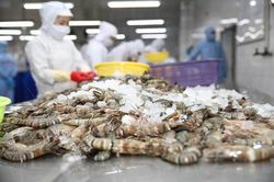 Xuất khẩu tôm tăng chậm lại, sang Mỹ và EU tiếp tục giảm