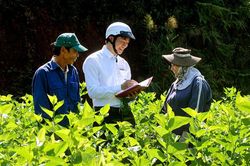 Tháo gỡ nút thắt tài sản bảo đảm trong vay vốn nông nghiệp