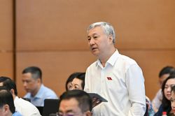 Miễn thuế thu nhập đối với doanh nghiệp nhỏ và vừa trong 3 năm để doanh nghiệp 'từng bước lớn lên'