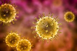 Loại virus gây đau đớn, tồn tại mãi mãi trong cơ thể một khi đã mắc