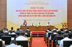 Không miễn trừ trách nhiệm với hành vi cố ý vi phạm, lừa đảo, trục lợi trong chứng khoán